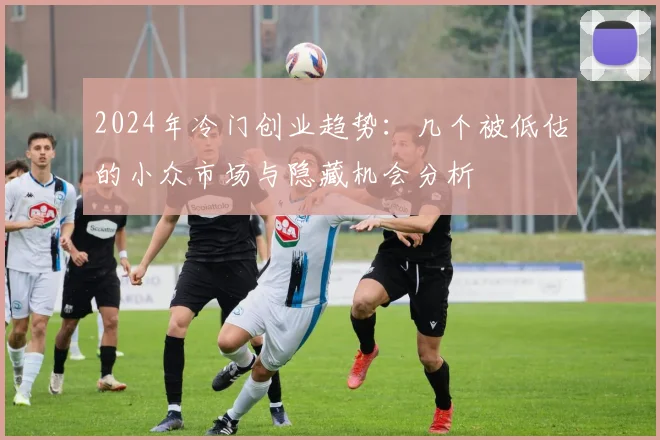 2024年冷门创业趋势：几个被低估的小众市场与隐藏机会分析
