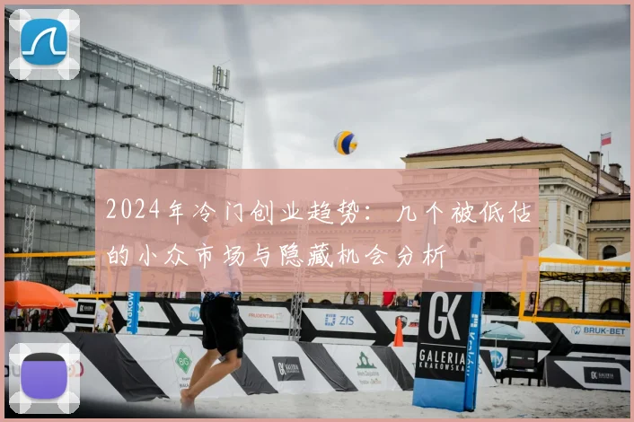 2024年冷门创业趋势：几个被低估的小众市场与隐藏机会分析