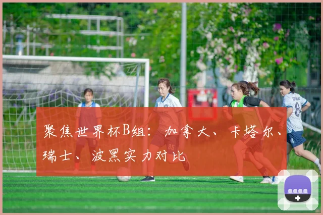 聚焦世界杯B组：加拿大、卡塔尔、瑞士、波黑实力对比